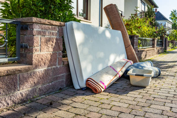 Yard Cleanup Services in Caryville, TN